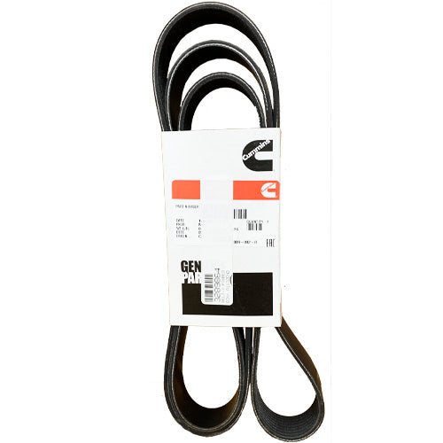 Cummins Ribbed V Belt | 3289864