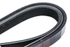 Elite Belt - 6 Rib 1742Mm (68.58") | ETP-6PK1742
