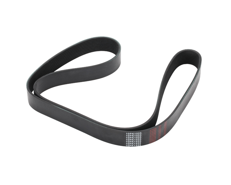 Elite Belt - 10 Rib 1529Mm (60.20") | ETP-10PK1529