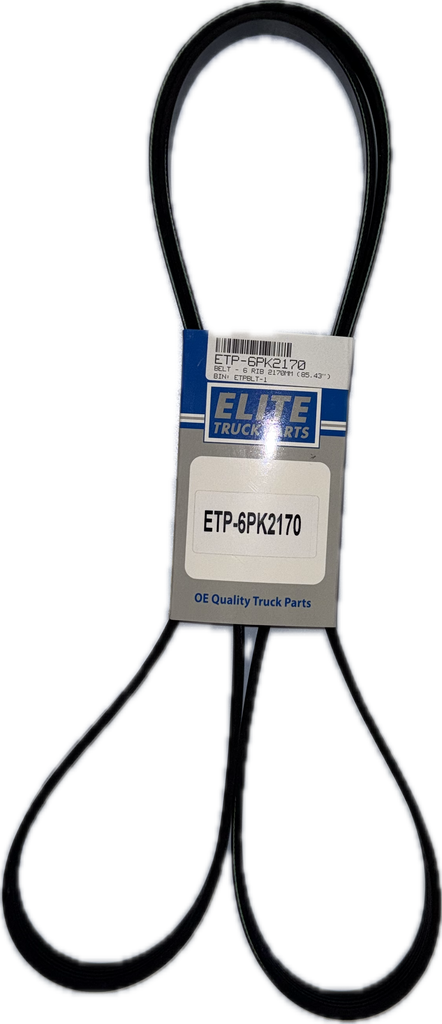 Elite Belt - 6 Rib 2170Mm (85.43") | ETP-6PK2170