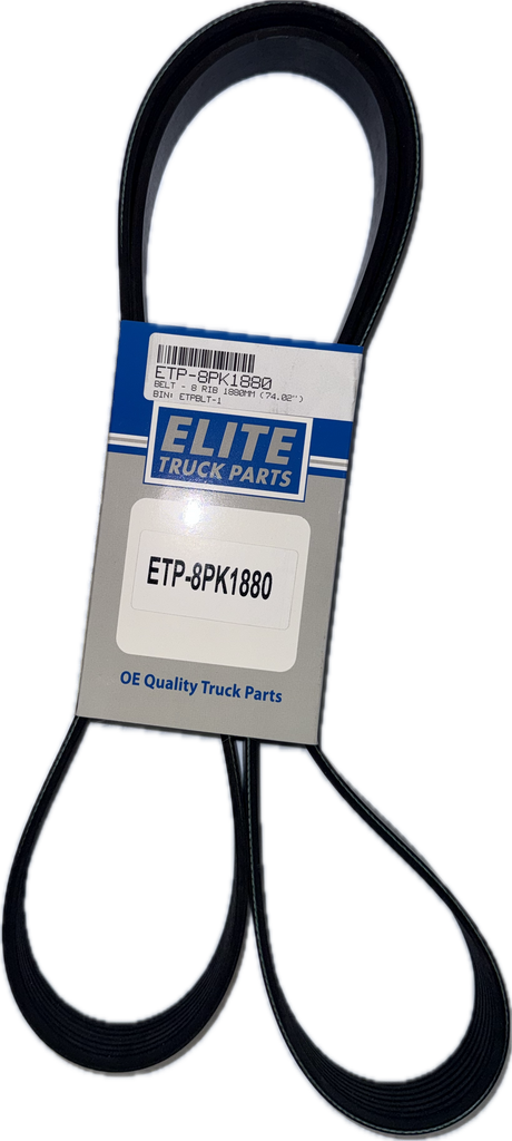 Elite Belt - 8 Rib 1880Mm (74.02") | ETP-8PK1880