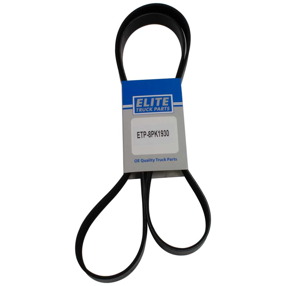 Elite Belt - 8 Rib 1930Mm (75.98") | ETP-8PK1930